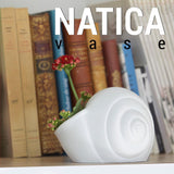 Natica - P3